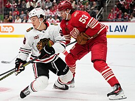 Útoník Connor Bedard z Chicaga (vlevo) je bránn Moritzem Seiderem z Detroitu.