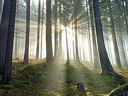 Inverze a barevný podzim na �umav�. (7. listopadu 2025)