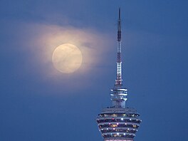 M�síc v superúpl�ku vychází vedle v�e Kuala Lumpur Tower v Kuala Lumpur v...