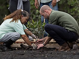 Princ William na náv�t�v� mangrovového lesa v zálivu Guanabara (4. listopadu...