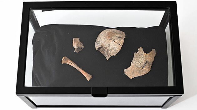 Slovansk� migrace byla a st�le je m�n� prozkouman� ne� st�hov�n� jin�ch skupin zkraje st�edov�ku.