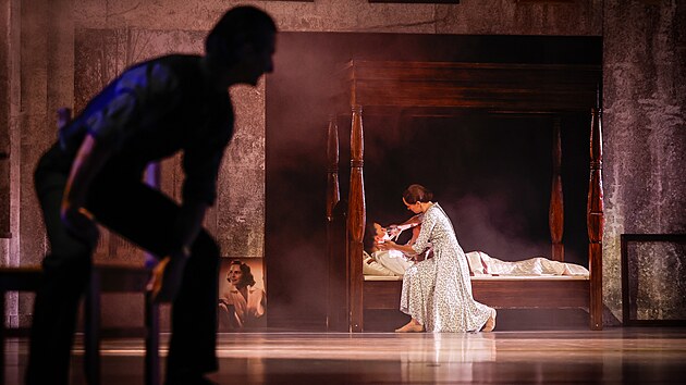 Baletn soubor aldova divadla v Liberci nastudoval nov pedstaven Frida, kter vyprv o boulivm ivot mexick malky Fridy Kahlo.