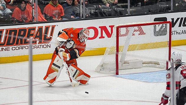 Luk Dostl (1) z Anaheim Ducks rozehrv.