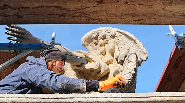 Restaur�to�i pracuj� na h�bitovn�m port�lu v Ho�ic�ch. (20. ��jna 2025)