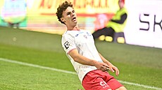 tpán Míek z Pardubic oslavuje svj gól proti Ostrav.