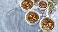 Krémová cibula�ka