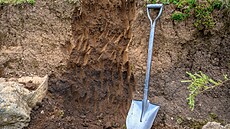 ilustra�ní snímek