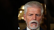 Prezident Petr Pavel bhem setkání se svým slovenským protjkem Peterem...