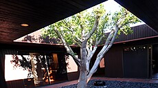 Strom v atriu byl zasazený spole�n� se stavbou domu.