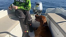 Nkdy bylo teba rozmotat návnadu a pevázat vlasec. Vojta se toho samostatn...