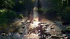 Krásné ráno u �eky Klabavy