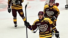 Jihlavský Daniel Krenelok slaví gól proti Slavii.