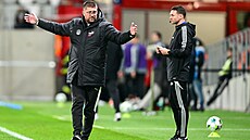 Veli�e �umulikoski ze Slovácka reaguje b�hem utkání s Hradcem Králové.