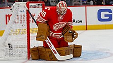 Detroitský branká� John Gibson