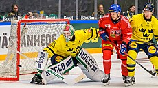 �védský branká� Arvid Holm hlídá puk p�ed Filipem Chlapíkem.