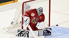 �eský gólman Petr Kvá�a zasahuje v utkání s Finskem.