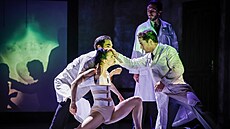 Baletní soubor �aldova divadla v Liberci nastudoval nové p�edstavení Frida,...