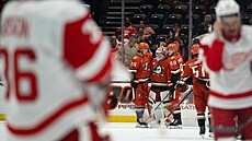 Branká Anaheimu Luká Dostál slaví se spoluhrái výhru proti Detroitu.
