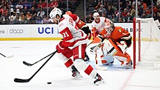 Útoník Detroitu Dylan Larkin kontroluje puk poblí branky Anaheimu, situaci...