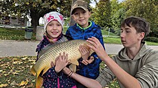 První úlovek a hned 70cm kapr