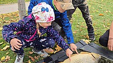 Takového macka je t�eba si osahat.