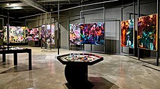 Z výstavy Josefa Váchala a Josefa Bolfa v Museu Kampa