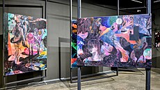 Z výstavy Josefa Váchala a Josefa Bolfa v Museu Kampa