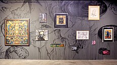 Z výstavy Josefa Váchala a Josefa Bolfa v Museu Kampa