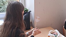 K�ídla mají na druhé stran� disku postavi�ku. V pohybu lidské oko vidí and�la.