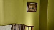 Pro rok 2026 se stal barvou roku univerzální �lutozelený odstín Secret Safari.