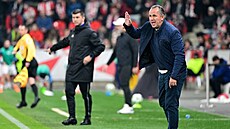 Kou ostravského Baníku Tomá Galásek bhem utkání se Slavií.