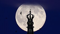 M�síc p�i superúpl�ku za v�í kanclé�ství v saských Drá��anech v N�mecku