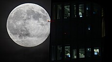 Úpln�k na obloze vedle osv�tlených oken kancelá�í Evropské centrální banky...