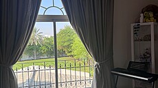 Pohled z domu na zelenou zahradu. 