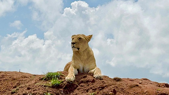 5 d�vod�, pro� za�ít dovolenou na míru v Africe