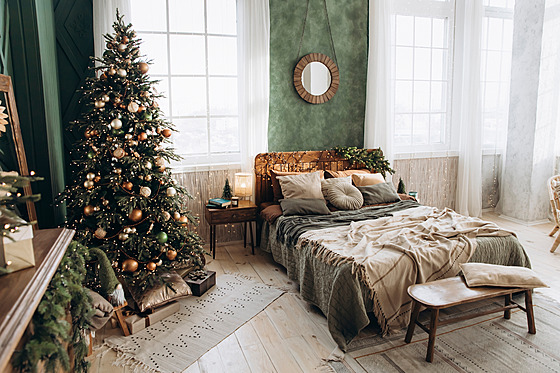 ilustra�ní snímek