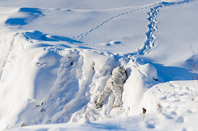 Británie vyšle vojsko do Arktidy, uvedl Starmer. Evropa je podle něj spící obr