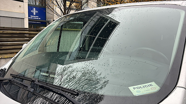 Policie po razii na ŘSD obvinila 12 lidí a pět firem, zadržení jsou na svobodě