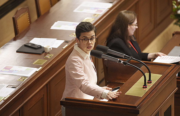 Piráti na Jiráska do roka a do dne proti všem. Proč Skopeček prošel a Richterová ne?