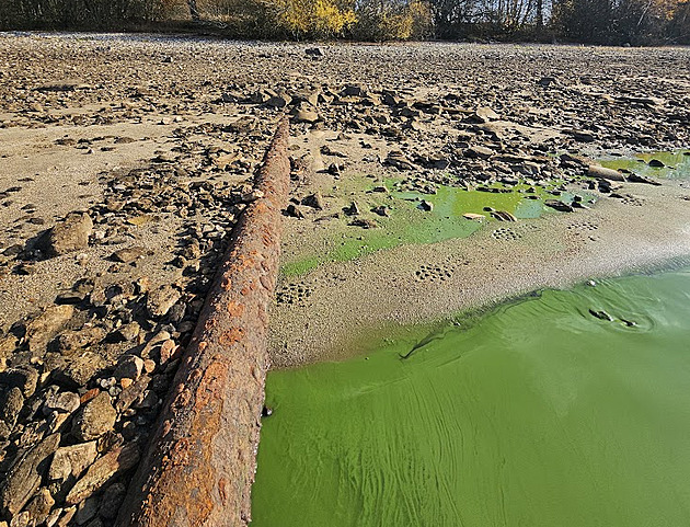 N�zk� hladina odhalila v�pusti sm��uj�c� do Lipna. V�dci budou prov��ovat, kter� jsou neleg�ln�, kolik jich je funk�n�ch a co trubkami a rourami do p�ehrady p�it�k�.