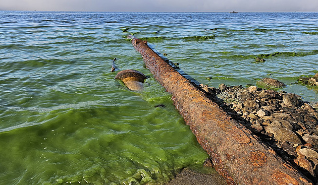 Nzk hladina odhalila vpusti smujc do Lipna. Vdci budou provovat, kter jsou nelegln, kolik jich je funknch a co trubkami a rourami do pehrady pitk.