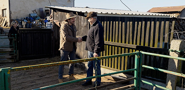 Kotek na své farmě honí hodně zajíců najednou. Průšvihy si ho vychutnají