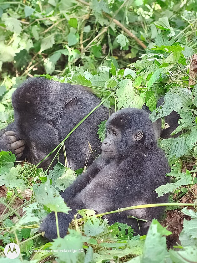 5 d�vod�, pro� za��t dovolenou na m�ru v Africe