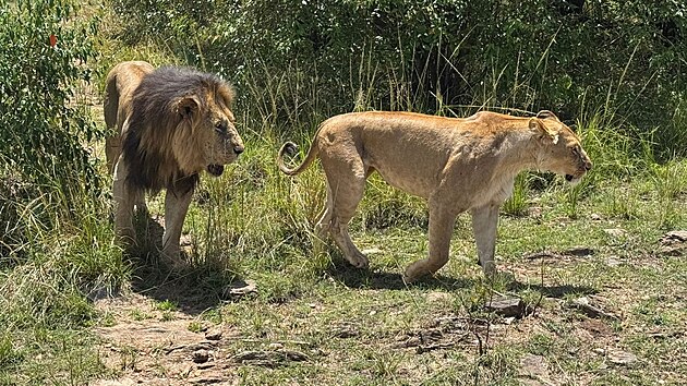 5 d�vod�, pro� za��t dovolenou na m�ru v Africe