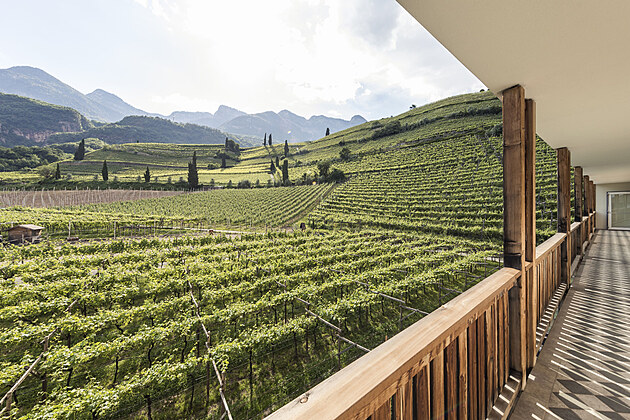 R�j mezi palmami a horami.