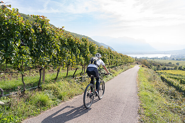 R�j mezi palmami a horami.