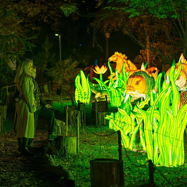 Popus�te uzdu fantazii - vyrazte do Divok� Asie!