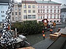 Olomouck� v�no�n� strom bude letos dvaapades�tilet� st��brn� jedle z L�n� na...