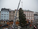 Pracovn�ci olomouck�ho magistr�tu zvedali strom za pomoci je��bu