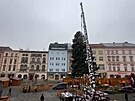 Olomouc u� m� v�no�n� stromek, rozsv�t� se v ned�li. Putoval z P�erovska